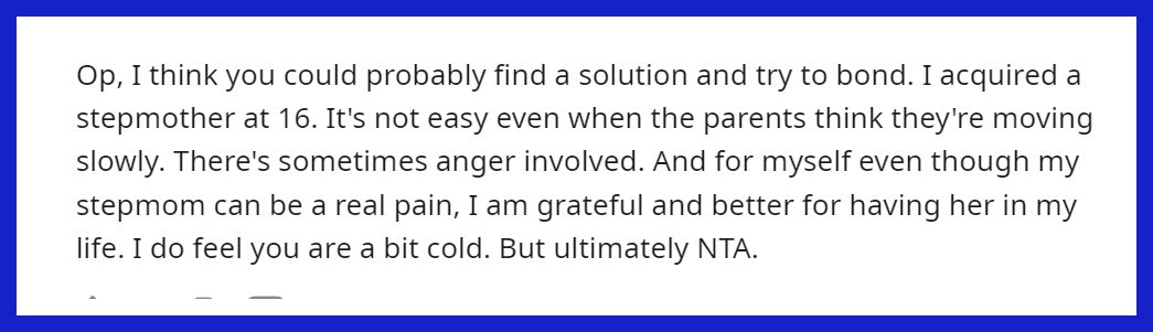 A horse consoling its owner